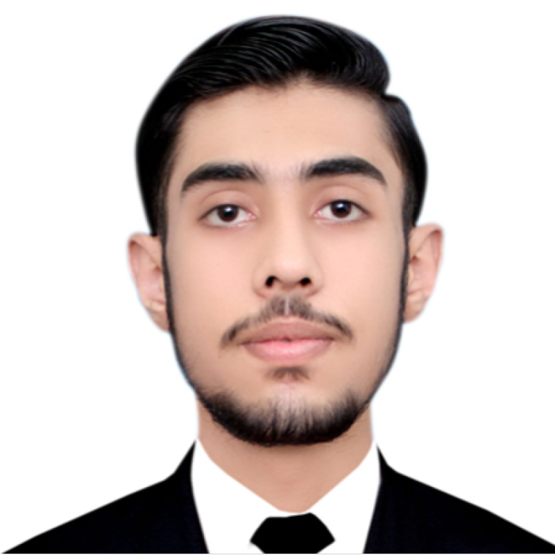 Syed Ali Hussain